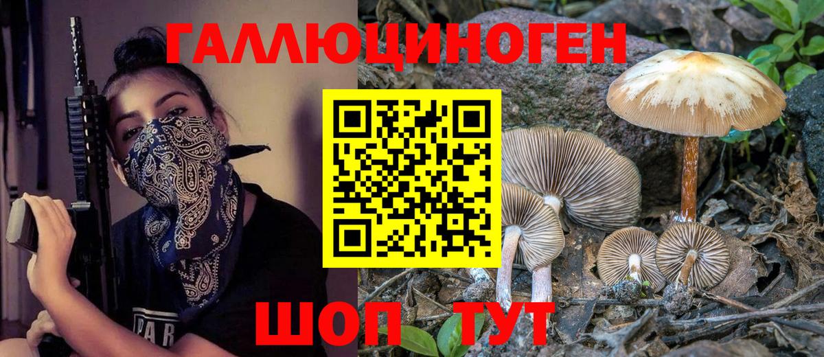 Псилоцибиновые грибы прущие грибы  Вход с VPN  Кумертау 